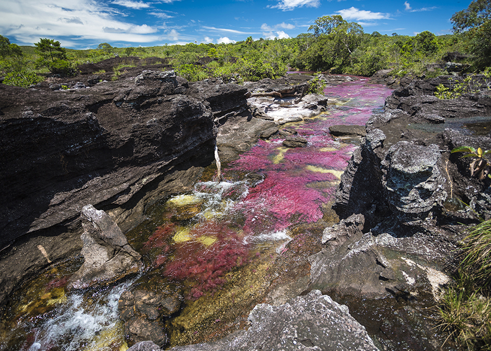 CAÑO CRISTALES